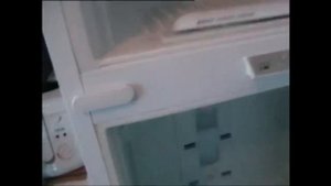 Потёк холодильник Whirlpool с системой No Frost. Устраняем проблему своими руками..