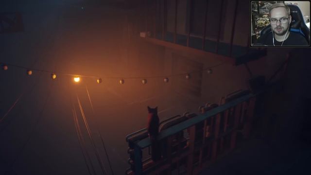 КОТ, КИБЕРПАНК И РОБОТЫ / Эп. 1 / Stray