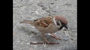 Olympus SZ-14.  Фотоаппарат, который всегда с собой. Примеры фото.