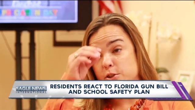 RESIDENTS REACT TO FLORIDA GUN BILL AND SCHOOL SAFETY PLAN смотреть онлайн