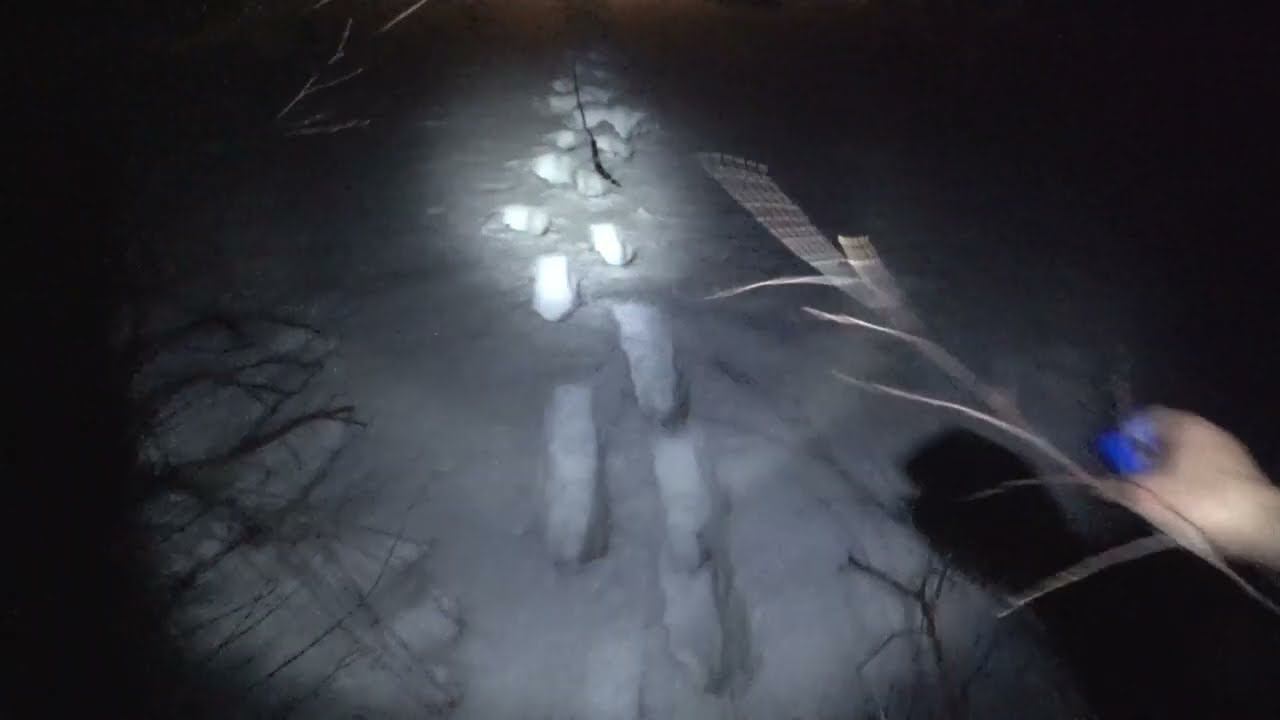 Один ночью в лесу страшные следы / часть 3 смотреть онлайн