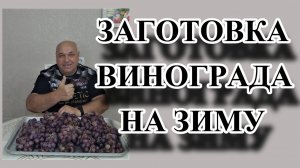 177. Наша жизнь после переезда в Краснодарский край/Заморозка винограда/.mp4