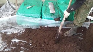 Земля для рассады огурцов