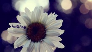 Vardan Minasyan - Lav Imacir