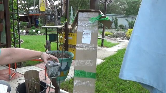 Обновки для любимого сада из Садового Рая.Задержались в пути. буду оживлять ))) смотреть онлайн