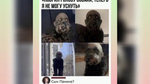 сборник мемов 2023 года