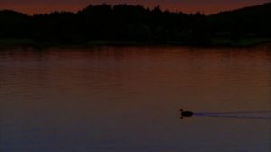 Lyrick Studios (1998-2001) w/ Purple Warning Screens & "Distributed by" Variant #1 [Remastered]