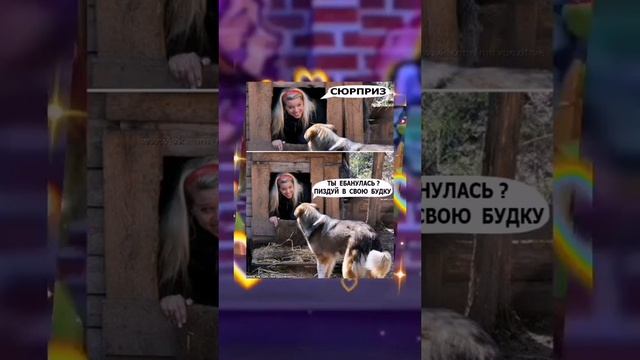 mem 17