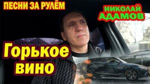 Песни за рулём ★ ГОРЬКОЕ ВИНО ★ Николай Адамов