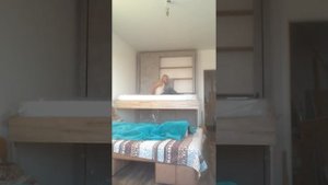 Кровать BedUp 1600*2000  ножеки 850 мм    http://liftbedspb.ru/