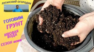 Подготовка грунта для рассады. Ивовая вода.