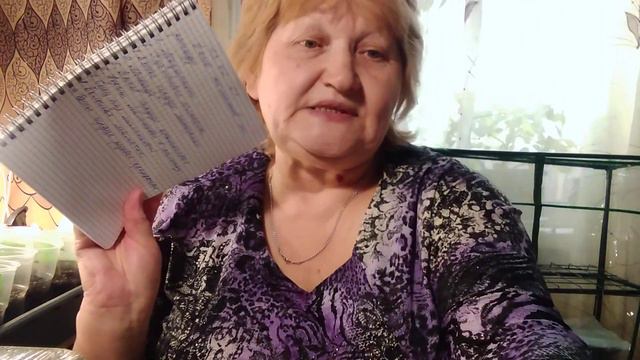 Посев томатов. Первые всходы сеянцев томатов смотреть онлайн