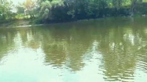 Щука на Северском Донце. Стародубовка. 21.07.2023 #рыбалка