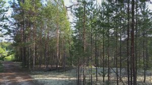 Неожиданная встреча в небе DJI mini 3 pro с АН-2 (Пожар возле поселка)