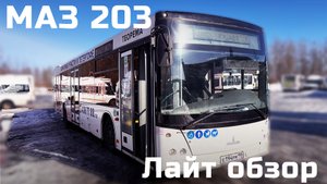 Мини обзор городского автобуса МАЗ 203, 2021 год