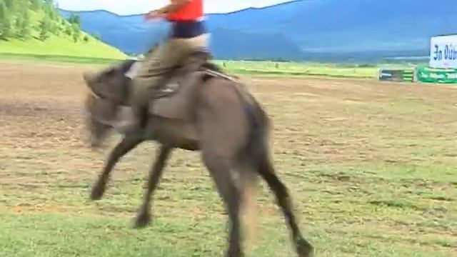 Эл-Ойын 2014 смотреть онлайн