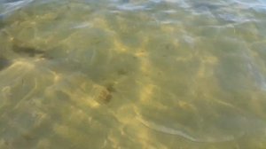 Курортный Зеллин на острове Рюген = Rugen Sellin