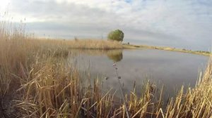 рыбалка на меше !Татарстан ,Березовка ,Сокуры ловля карася