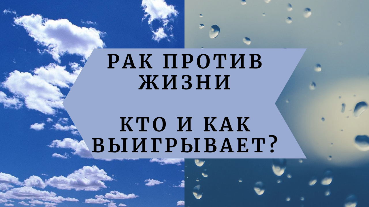 Рак против жизни. Кто и как выигрывает.