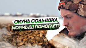 Помогает ли мормыш в средней полосе России в рыбалке на окуня. Окунь на Содышке зимой 2022