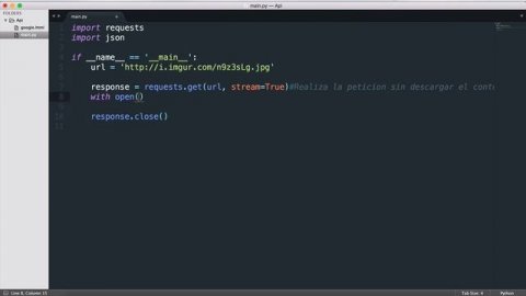 8.- Taller consumir APIs con Python - Chunks