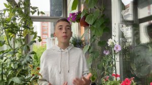 ВИДЫ ОГУРЦОВ ПО ТИПУ ОПЫЛЕНИЯ!
ПАРТЕНОКАРПИЧЕСКИЙ,
ПЧЁЛООПЫЛЯЕМЫЙ. В чём разница?