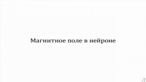3.2 Параметры нервной системы. Магнитное поле в нейроне