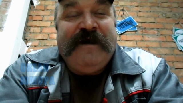 Анекдот про волка в свинарнике смотреть онлайн