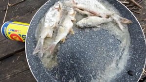 ЛОВИМ ПЛОТВУ ВЕСНОЙ.ПЕРВАЯ РЫБАЛКА.ЖАРИМ РЫБУ И САЛО