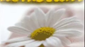 Ох, ромашка, белый цвет", муз. А.Аверкина, сл. И.Лашков.