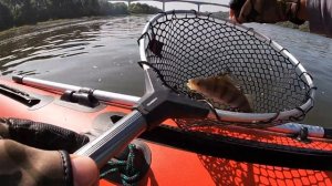 Трофейный Окунь _ Ловля на Спиннинг с Лодки _ Река Ока.