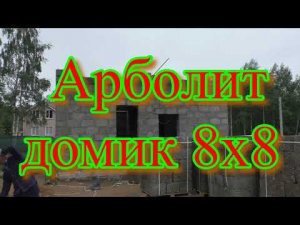 Арболит, домик 8х8, обзорчик 24.06.23