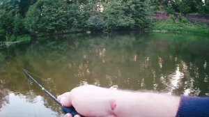 Нарезка рыбалки за 2019 год. Ловля щуки на реке Медведица в Саратовской области