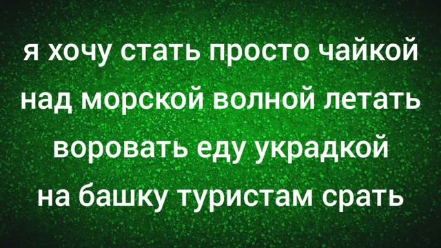 На башку туристам срать смотреть онлайн