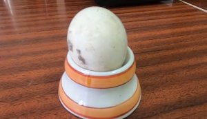 Юбилей куриного яйца XIV века