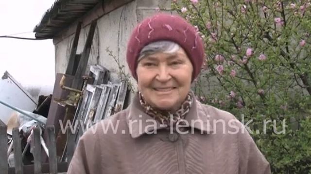 Во дворе у жительницы Бачатского Людмилы Юдиной зацвела сакура смотреть онлайн