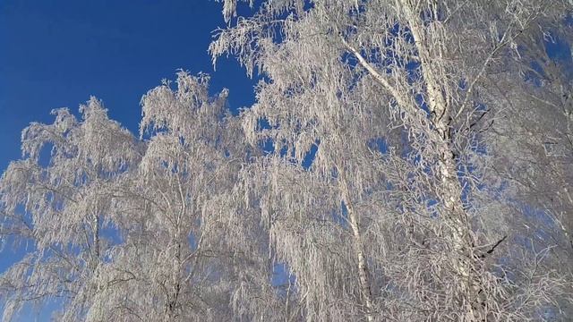Электровелопокатушка зимой в полях омской области
