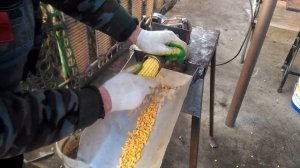 Лущилка для кукурузы