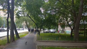 улица Зои и Александра Космодемьянских, Войковский район, Москва