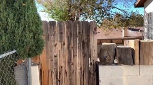 Тур по местам съёмок Во все тяжкие