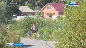 Специалисты огласили результаты исследований проб воды в пруду Оскочное