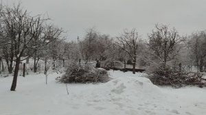 Завершение огородного сезона 2022 года на проекте  Суворова. 27112022.