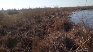 Ростов Великий. Ярославская область. Озеро Неро. WP 20140429 008