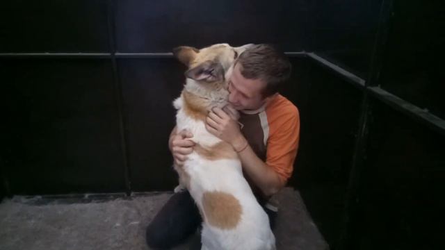 Карат - очень злой пес "по укусам" смотреть онлайн