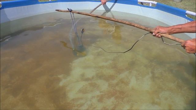 канал Саша Торопов Как я очищаю дно бассейна смотреть онлайн