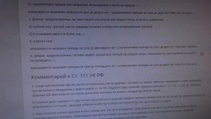 Панини ReeFlay статья 111 часть 4 УК РФ