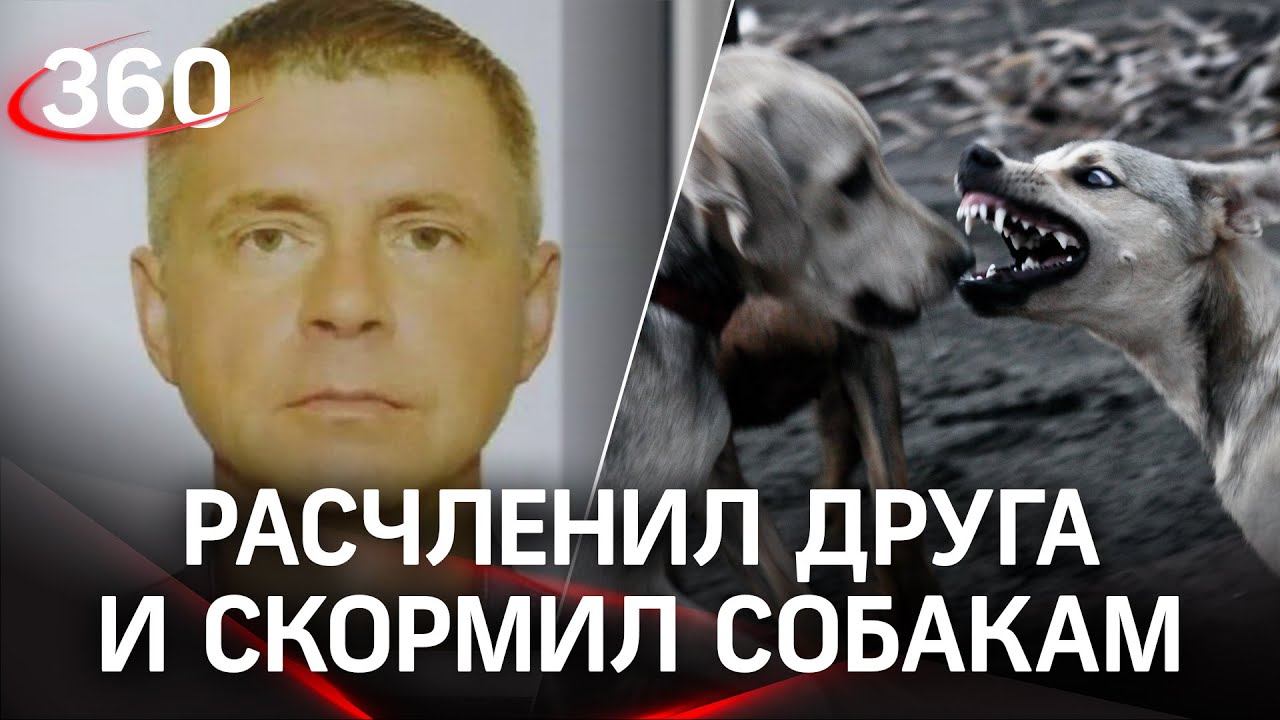 Невменяемый расчленил и скормил друга собакам. При этом избежал наказания. История из Братска