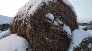 Размеры рулонов от ПРФ-145