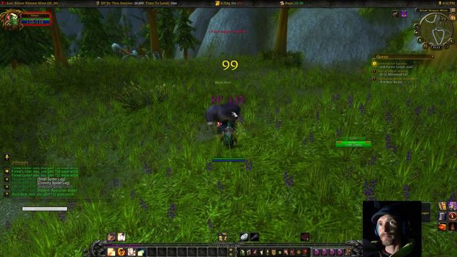 Let's Play World of Warcraft (Gnome Priest 1-110) - Part 2 | The Warsong Gulch смотреть онлайн