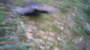 Необычные Случаи на Охоте, Снятые на Камеру.